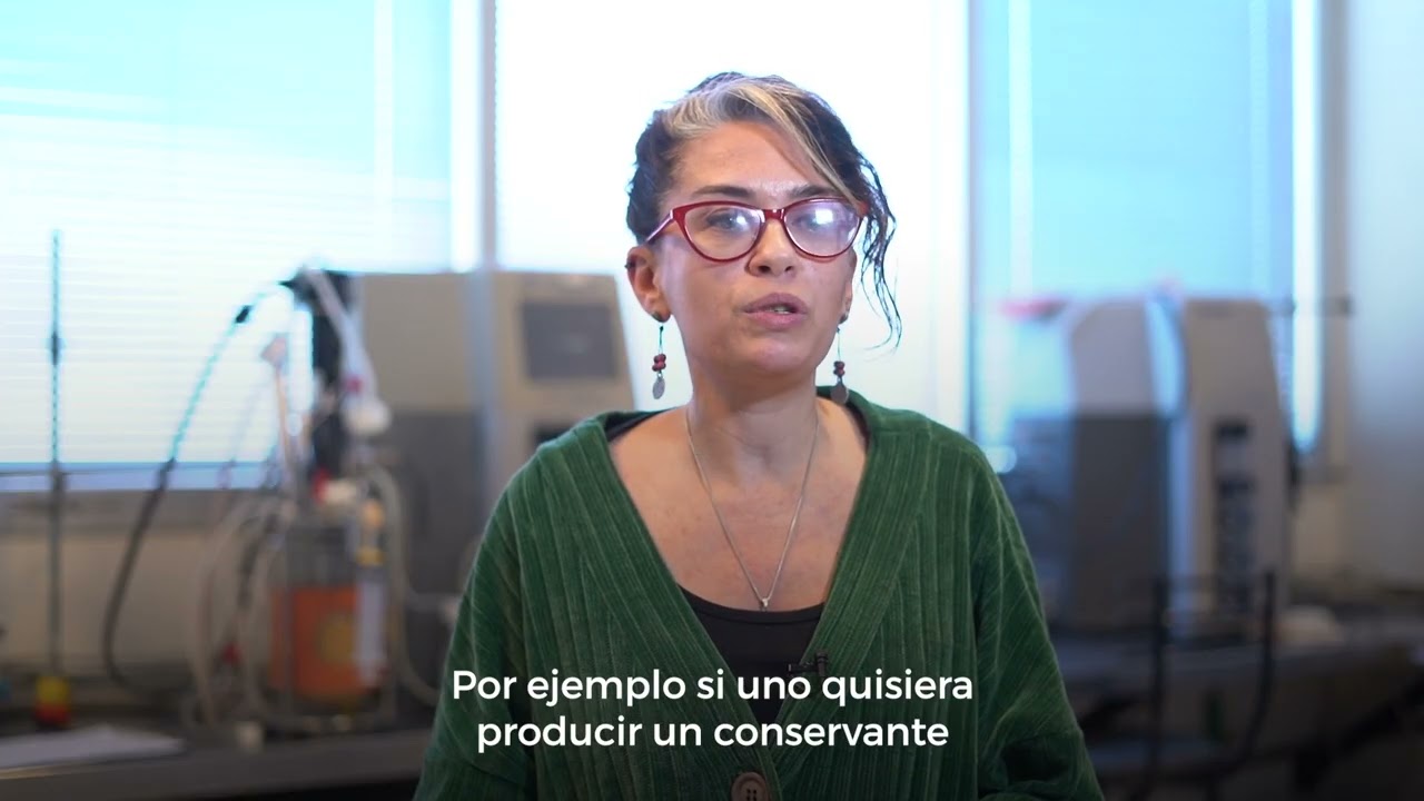 Conservantes naturales