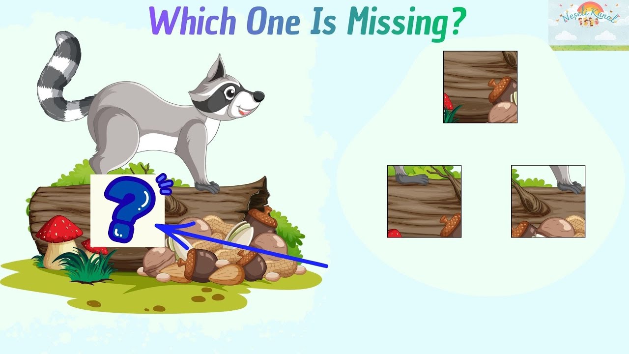 Puzzle for Kids🧩Find the Missing Piece #neşeliikanal