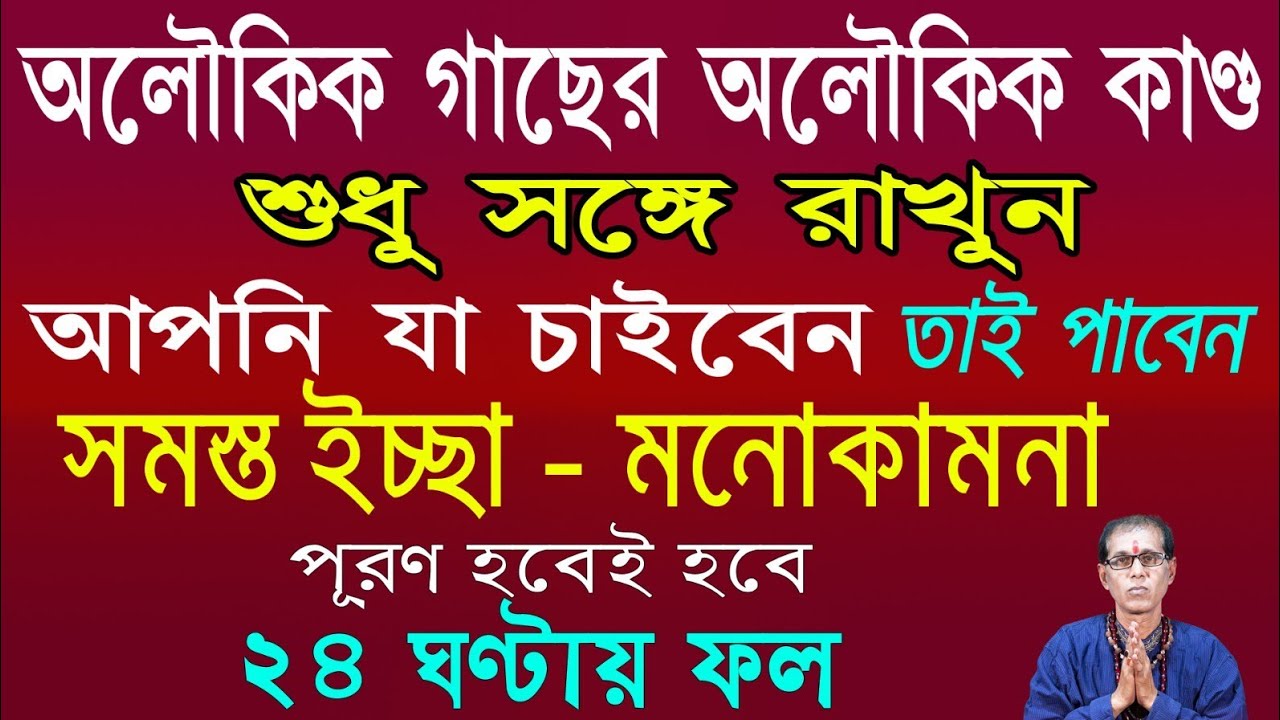 অলৌকিক গাছের অলৌকিক কান্ড | শুধু সঙ্গে রাখুন  আপনি যা চাইবেন তাই পাবেন | 24 ঘন্টায় ফল লাভ