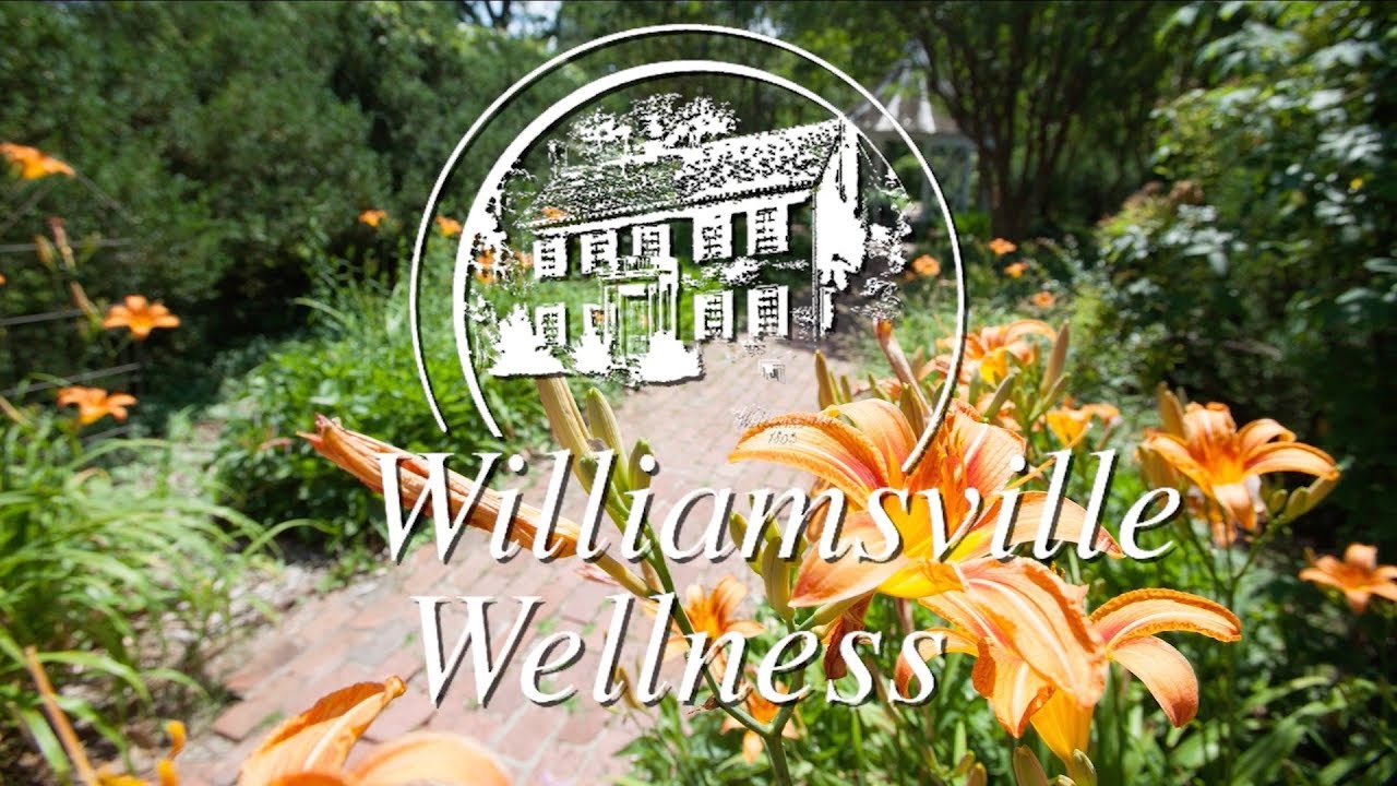 Bob Cabaniss - Williamsville History