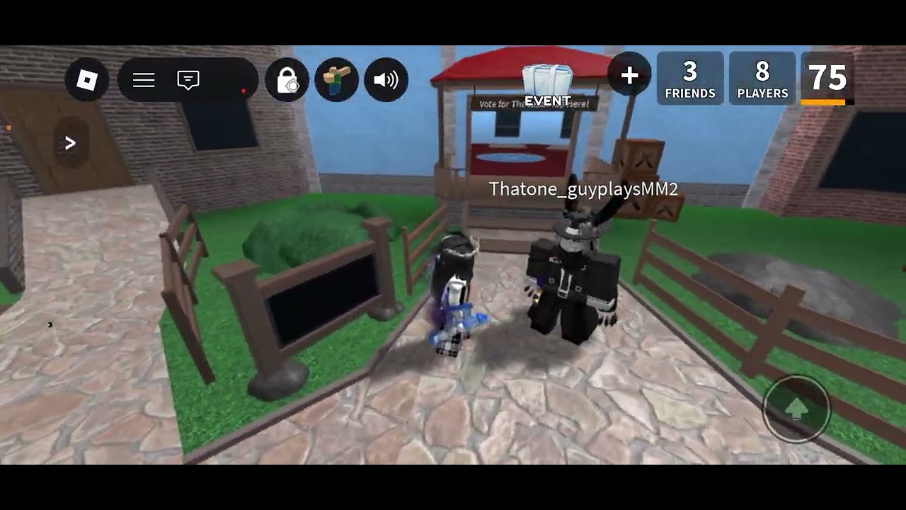 Cool thingy whatever playing mm2