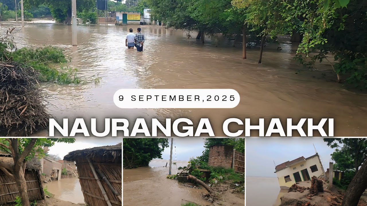 Common Currents : Ganga Erosion Threatens Nauranga Chakki Like Jawaniya Gaon | Flood update | Flood