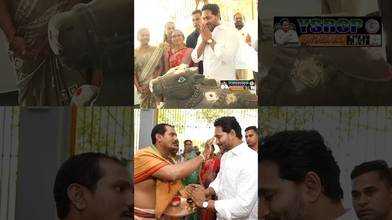 పులివెందులలోని ఇప్పట్ల శివాలయాన్ని దర్శించిన జగనన్న #ysrcpsainikuduak47 #andhrapradesh #news #ysrcp