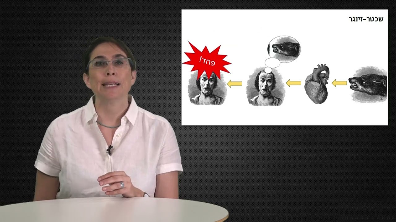 13. רגשות