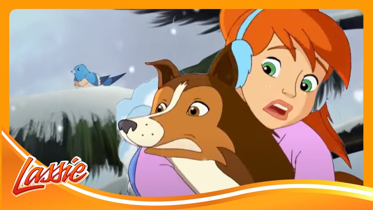 ❄️ Brave Dog Saves a Bird in the Snowstorm | The New Adventures of Lassie | Cartoons for Kids