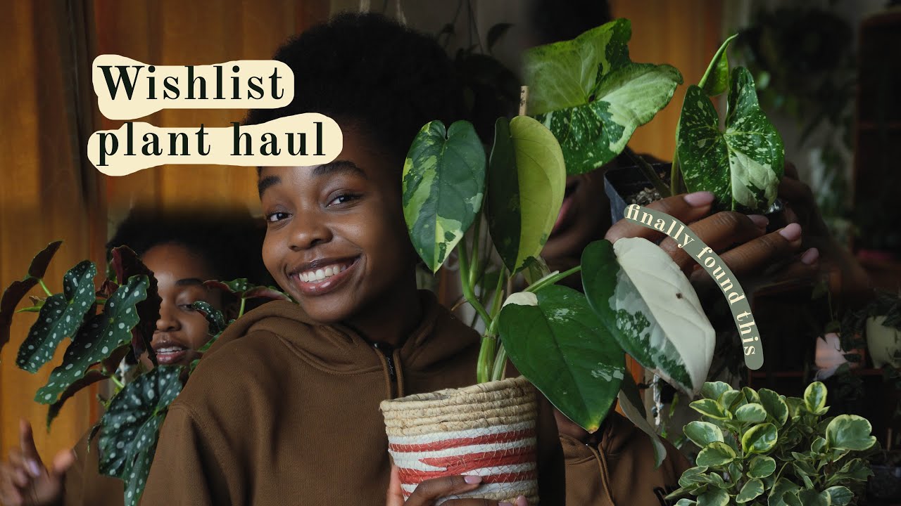 Unboxing New Wishlist Plants I'm Obsessed With ✨🌱 | Cozy Plant Channel 💭