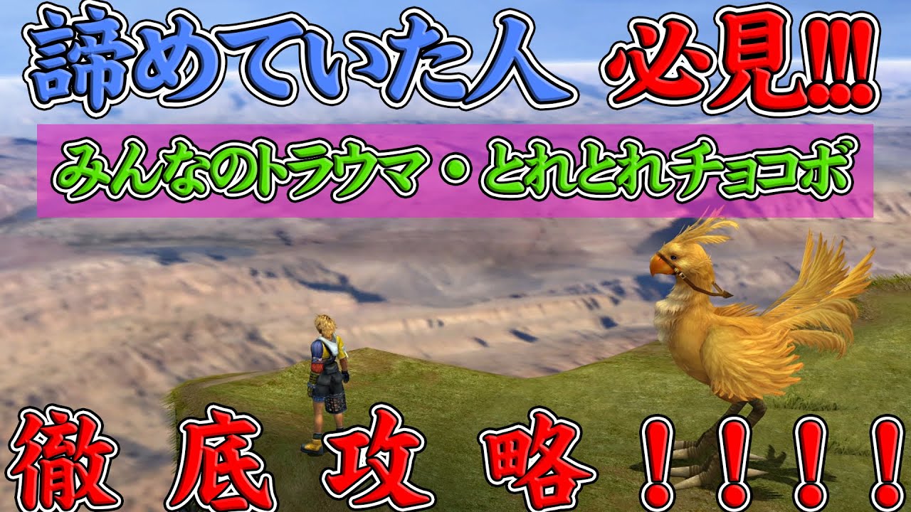 【FF10リマスター】とれとれチョコボ 0秒達成のコツ！！１１の成功パターンをもとに超徹底攻略！！諦めていた人必見！！【FF10HD】【FINAL FANTASY X HD Remaster】【実況】