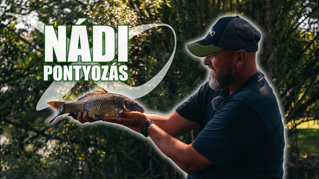 Nádi pontyozás kicsit másképp - Nyári feederezés a nád előtt