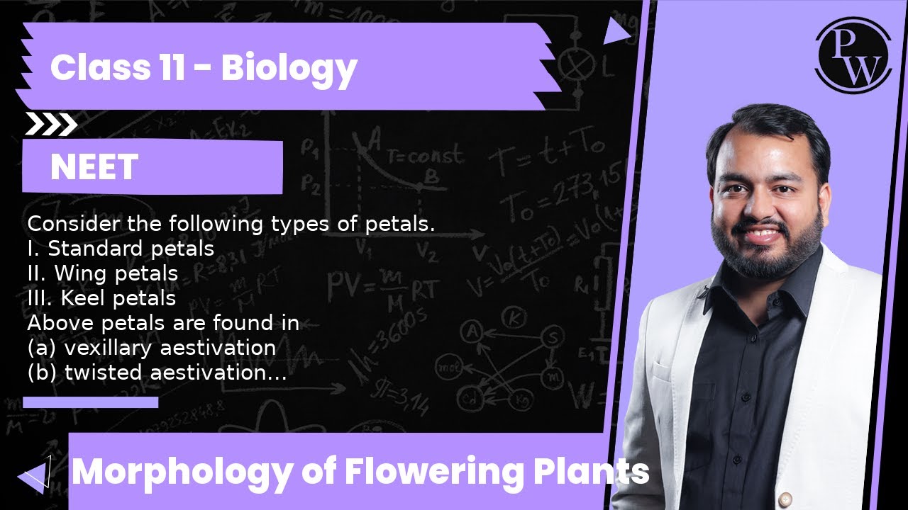 Consider the following types of petals.
I. Standard petals
II. Wing petals
III. Keel petals
Above...