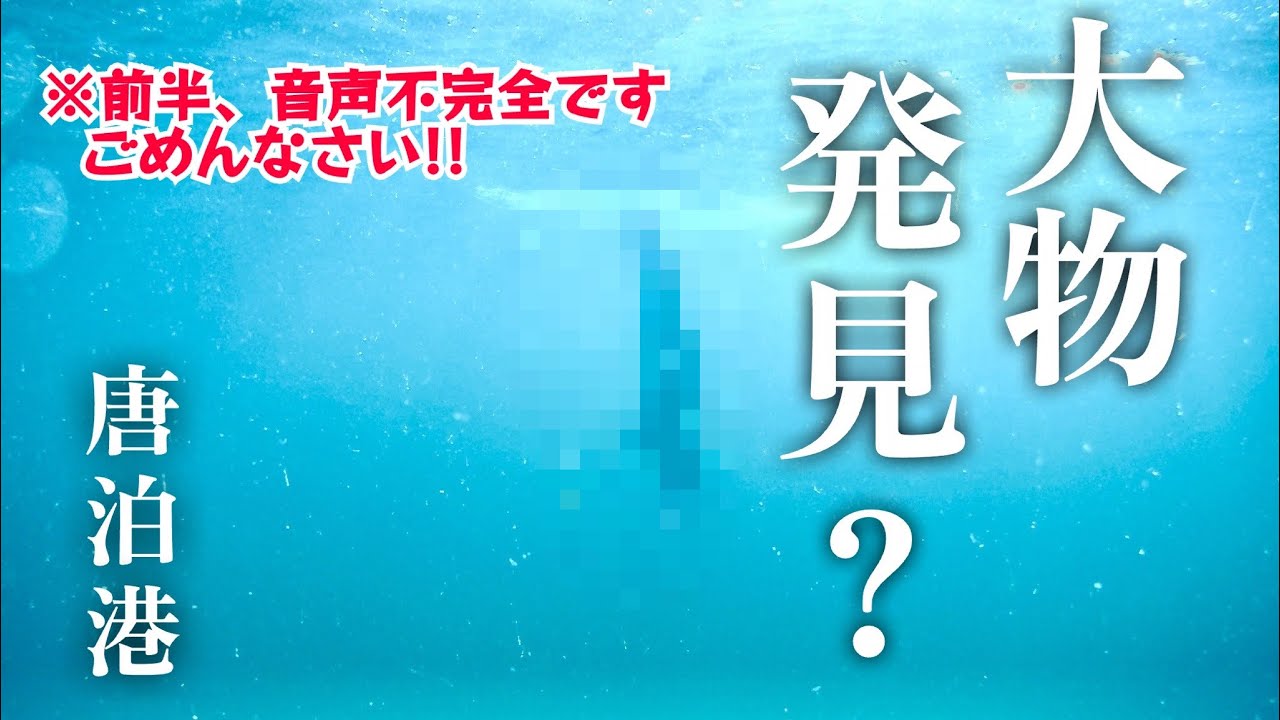 【釣り場ガイド・唐泊漁港・福岡県福岡市・海中映像】冬の唐泊に人魚がやって来た！？#259 福岡釣部 in 福岡・糸島・北九州・長崎・平戸・佐賀・唐津・呼子・生月島・鷹島・広島・岡山