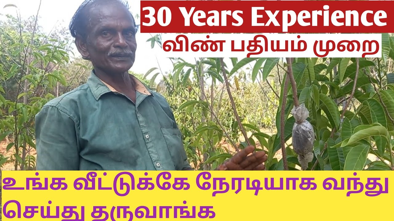 ஒட்டு மரம் உருவாக்குவது எப்படி @ThottakalaiThozhi
