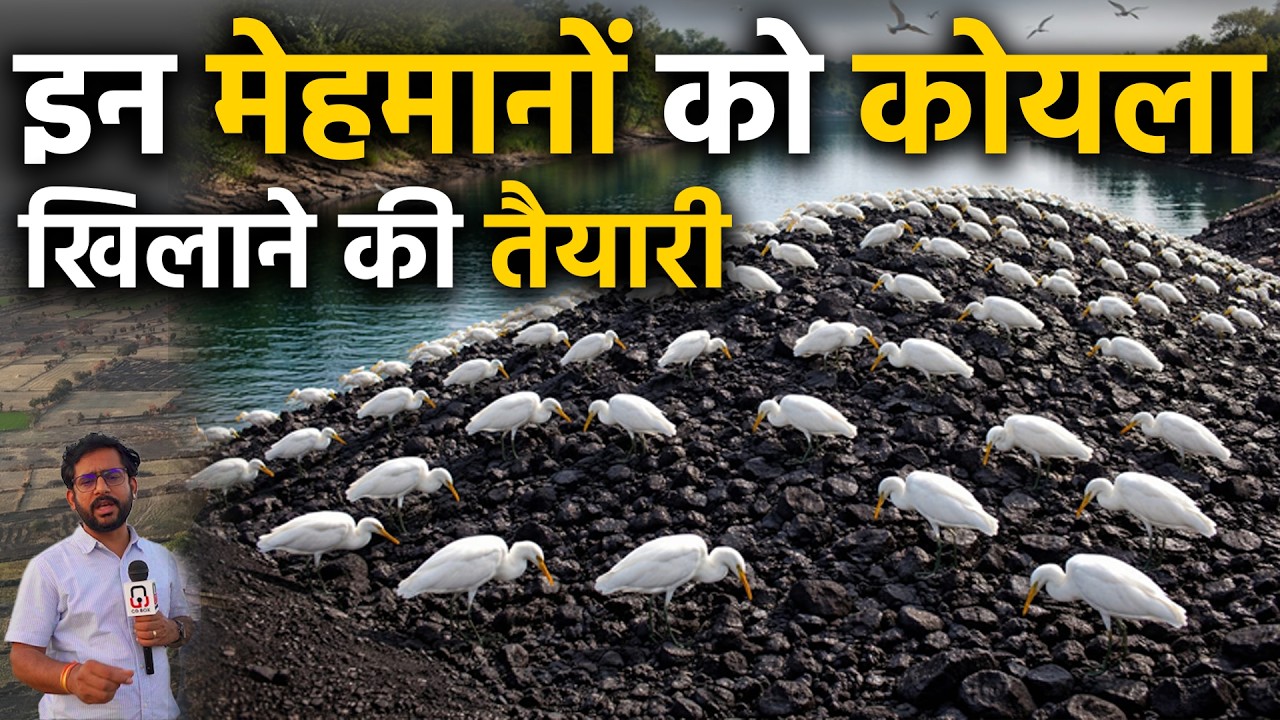 Chhattsigarh bilaspur City के kopra jalashay ramsar site में कोयले की छाया