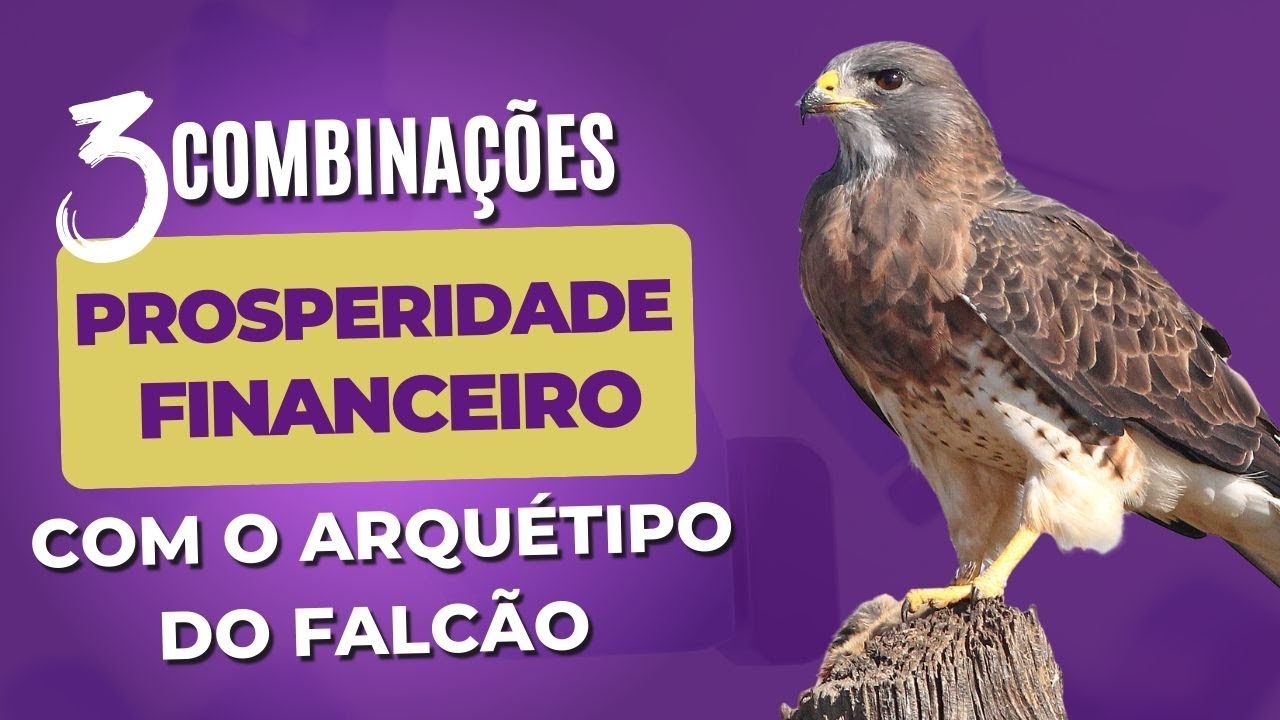3 Combinações para Prosperidade e Financeiro com o Arquétipo do Falcão
