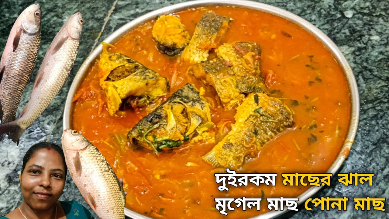 দুইরকম মাছের ঝাল রান্না। মৃগেল মাছ পোনা মাছ।। mrigel fish curry recipe ।। nisa kitchen ।