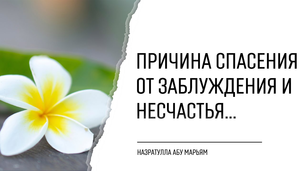 Причина спасения от заблуждения и несчастья это...