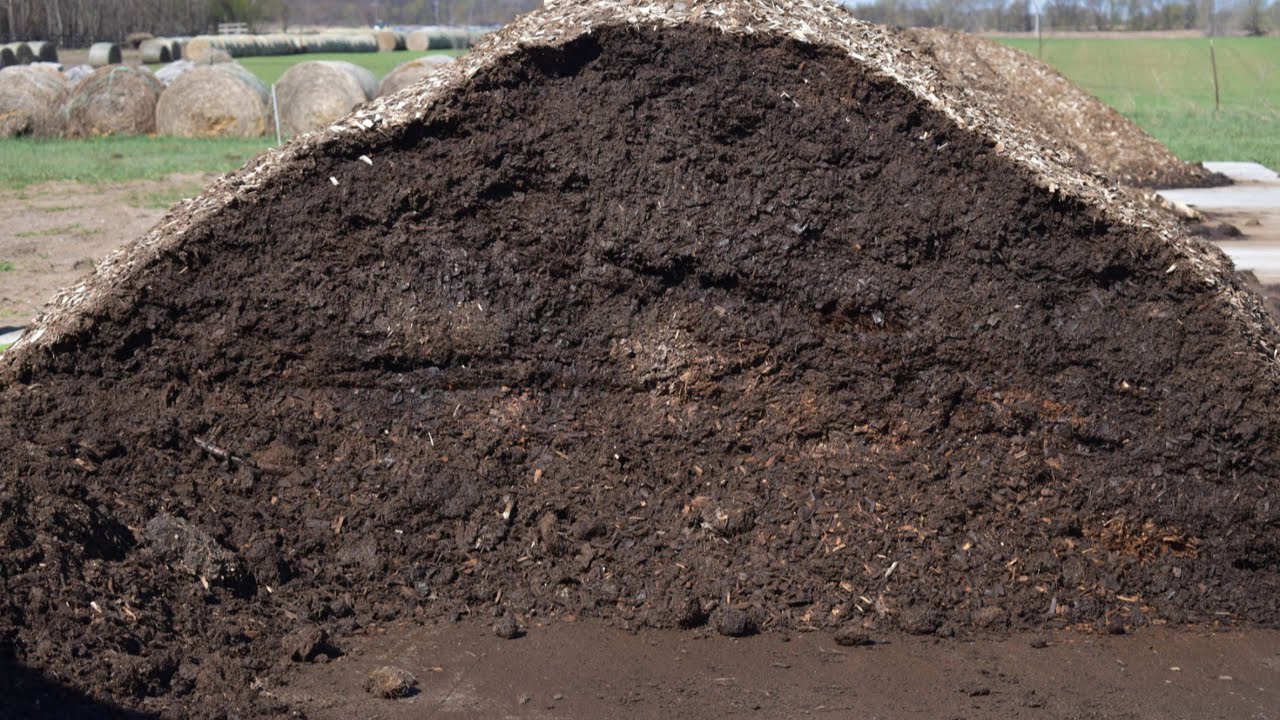 Managing a Horse Carcass Compost Pile