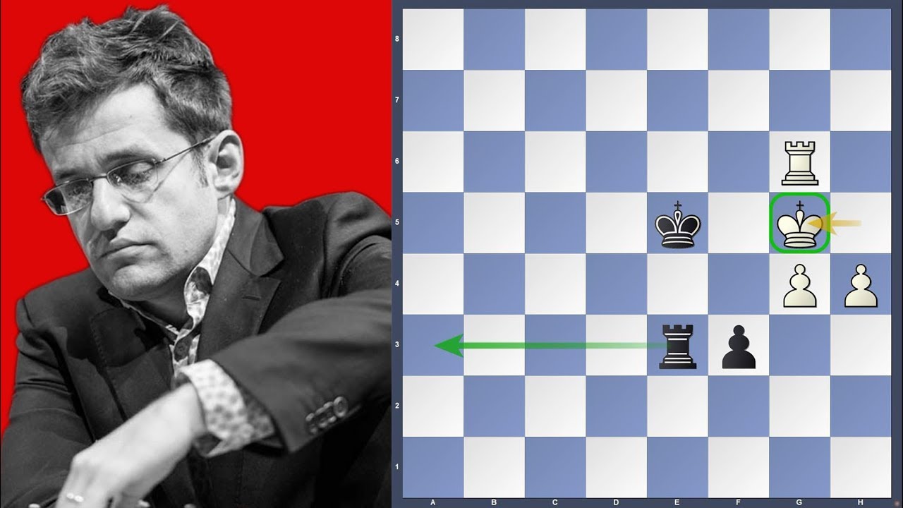 Study: Black to play and draw | Aronian vs Wang Hao | FIDE Chess.com Isle of Man 2019