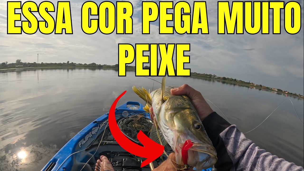 NÃO ESTAVA PEGANDO NADA ATÉ QUE USEI ESSE ESSA ISCA SOFT  E O RESULTADO FOI....