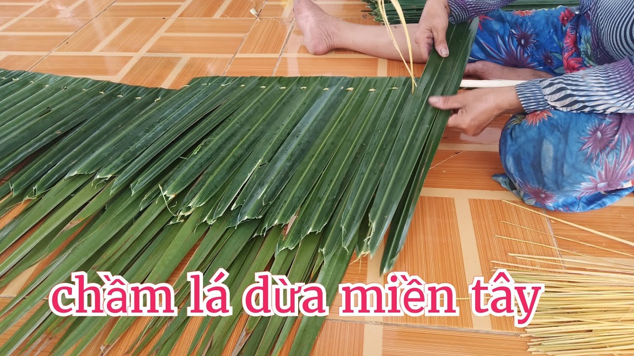 Công đoạn tạo ra một tấm lá dừa chầm lợp nhà ở miền tây #TOITNT