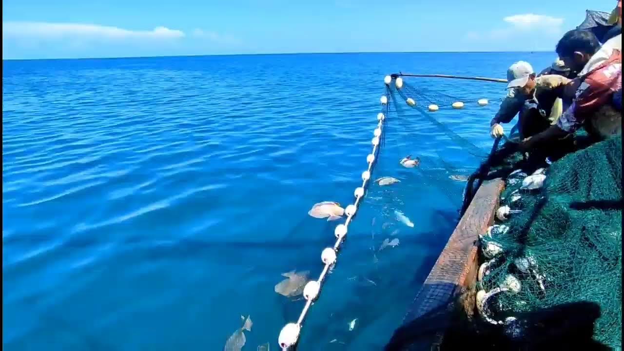 Beegini Proses Penangkapan ikan di rumpon dapat ikan banyak siang hari