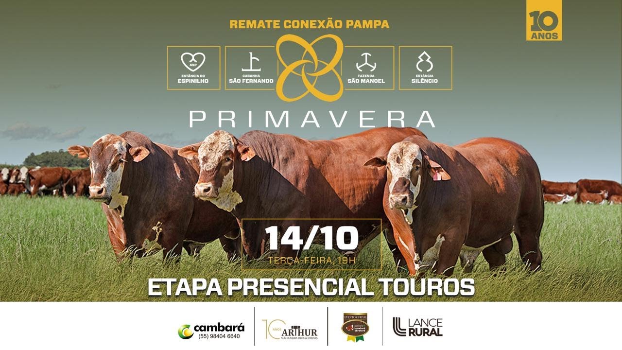 Conexão Pampa – Virtual Touros