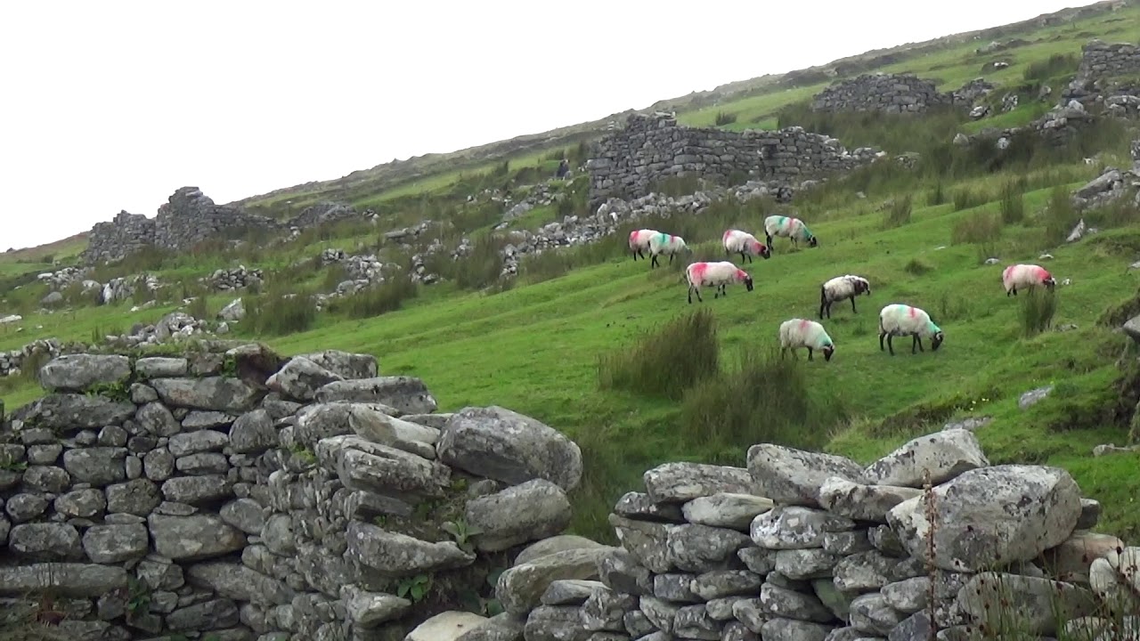 The Deserted Village ~ Slievemore Mountain ~ Achill Island ~ County Mayo