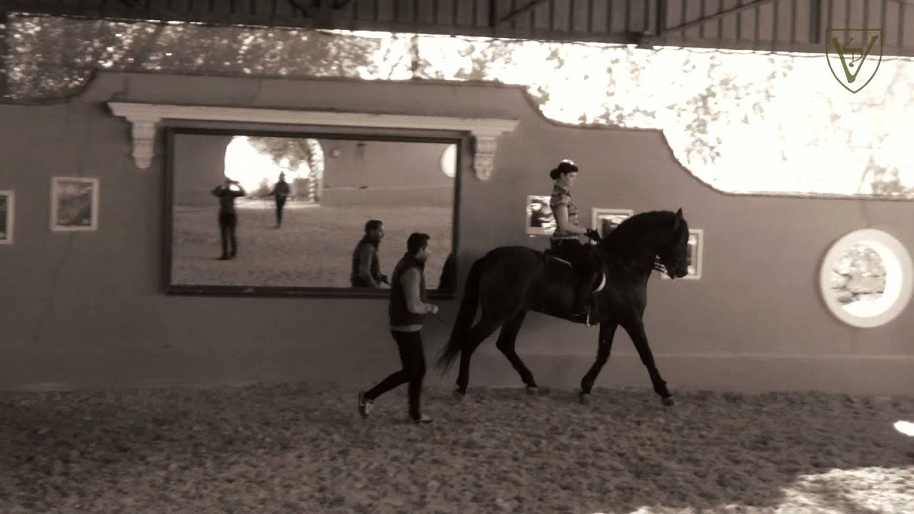 Training in Centro Ecuestre Artequus