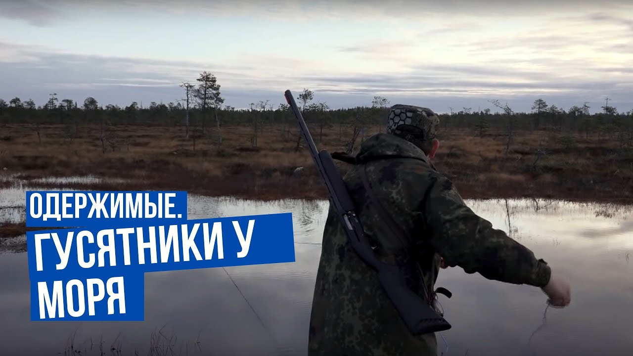 Гусятники у моря \ Одержимые