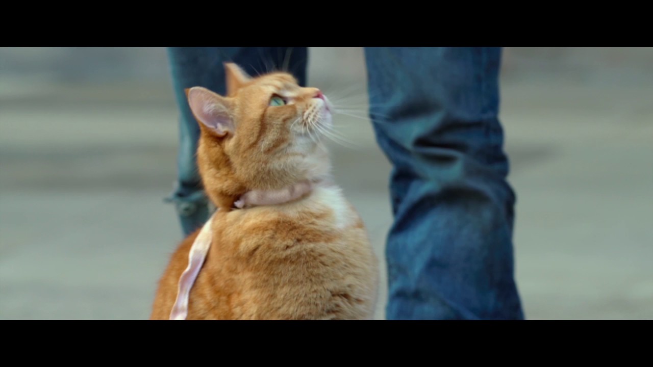 A Streetcat Named Bob clip - Getting the Punters In
