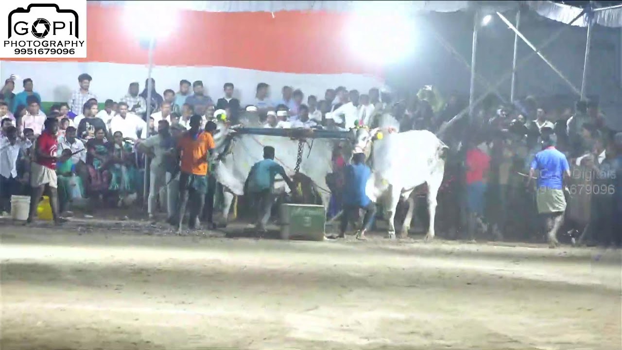 మేళ్లచెరువు ఎడ్ల పండాలు మూడో రోజు Live 2026