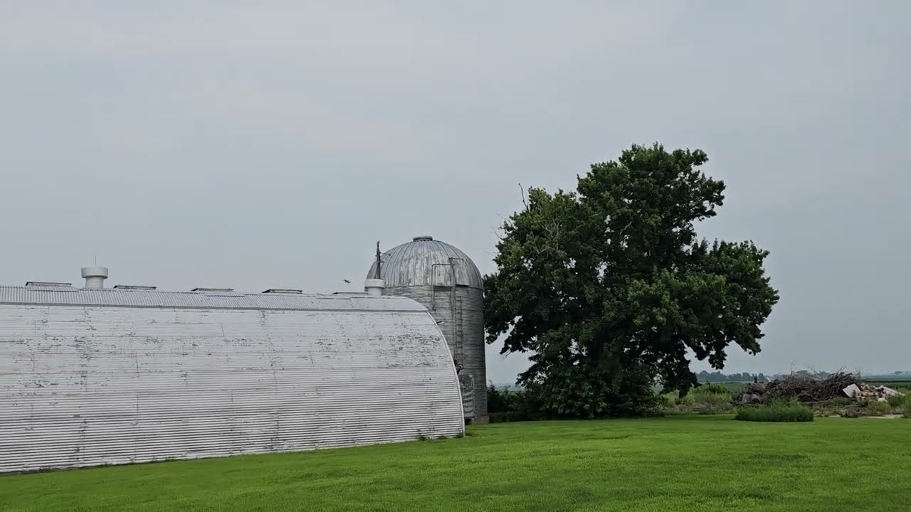 Ford trucks,  Toyota trucks,  spray plane,  farming,  new job,  life in general