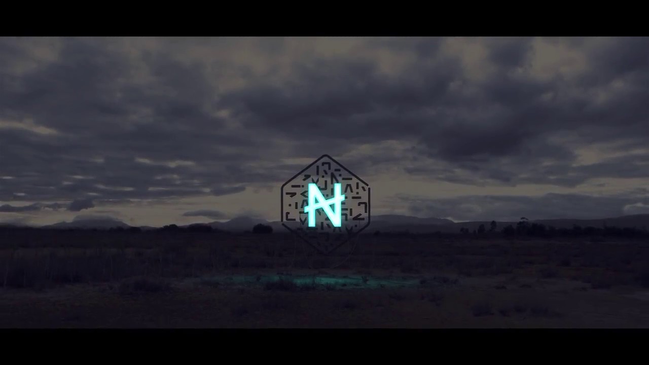 What is Numeraire