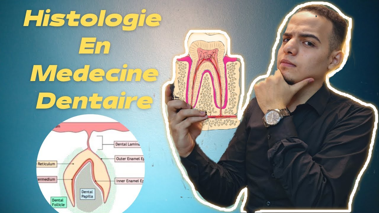 Le MINIMUM nécessaire de l’HISTO en dentisterie  !