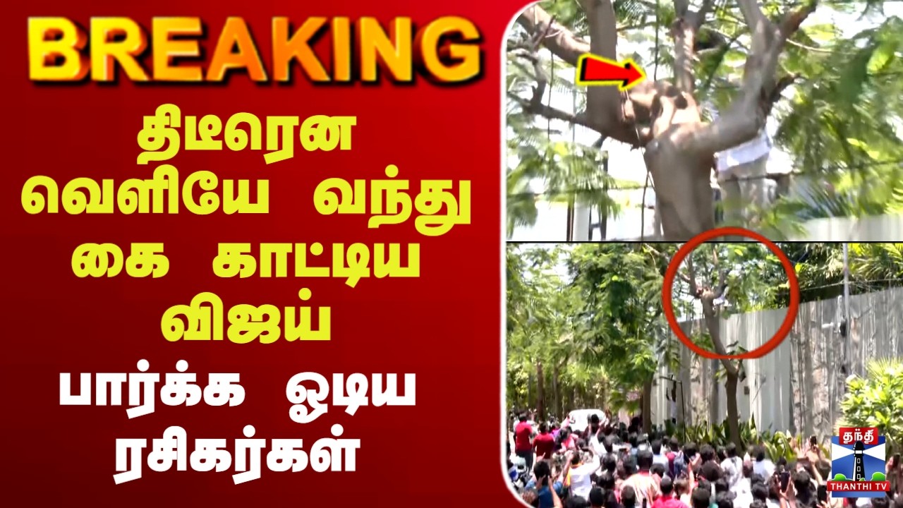 🔴LIVE : TVK Vijay | திடீரென வெளியே வந்து கை காட்டிய விஜய்.. பார்க்க ஓடிய ரசிகர்கள் கூட்டம்