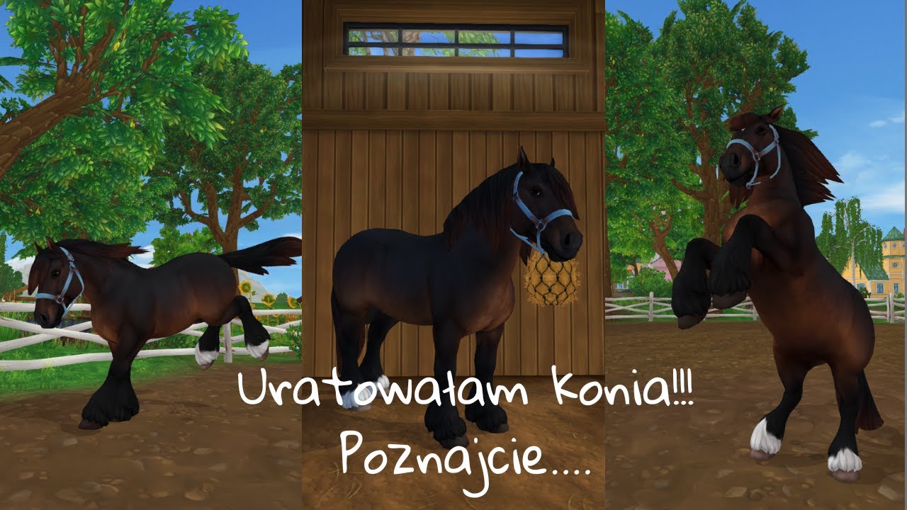 Uratowałam konia!!😮||Poznajcie...🤨||Realistyczne sso #7