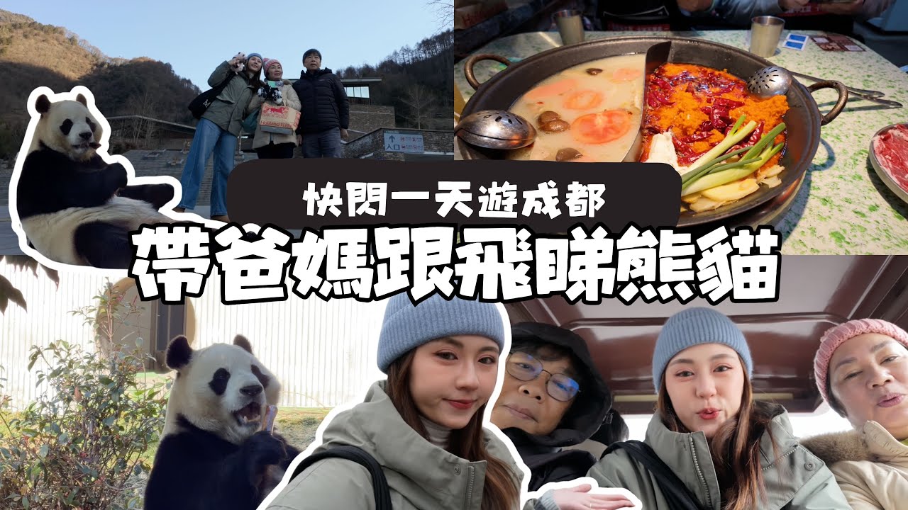 [飛行上班Vlog] 久違帶父母岀遊🐼原來看熊貓有港人專屬優惠😎💰終於看到韓國回流女明星😭!!