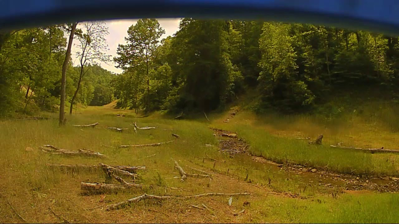 North Fork Watershed A Summer 2018