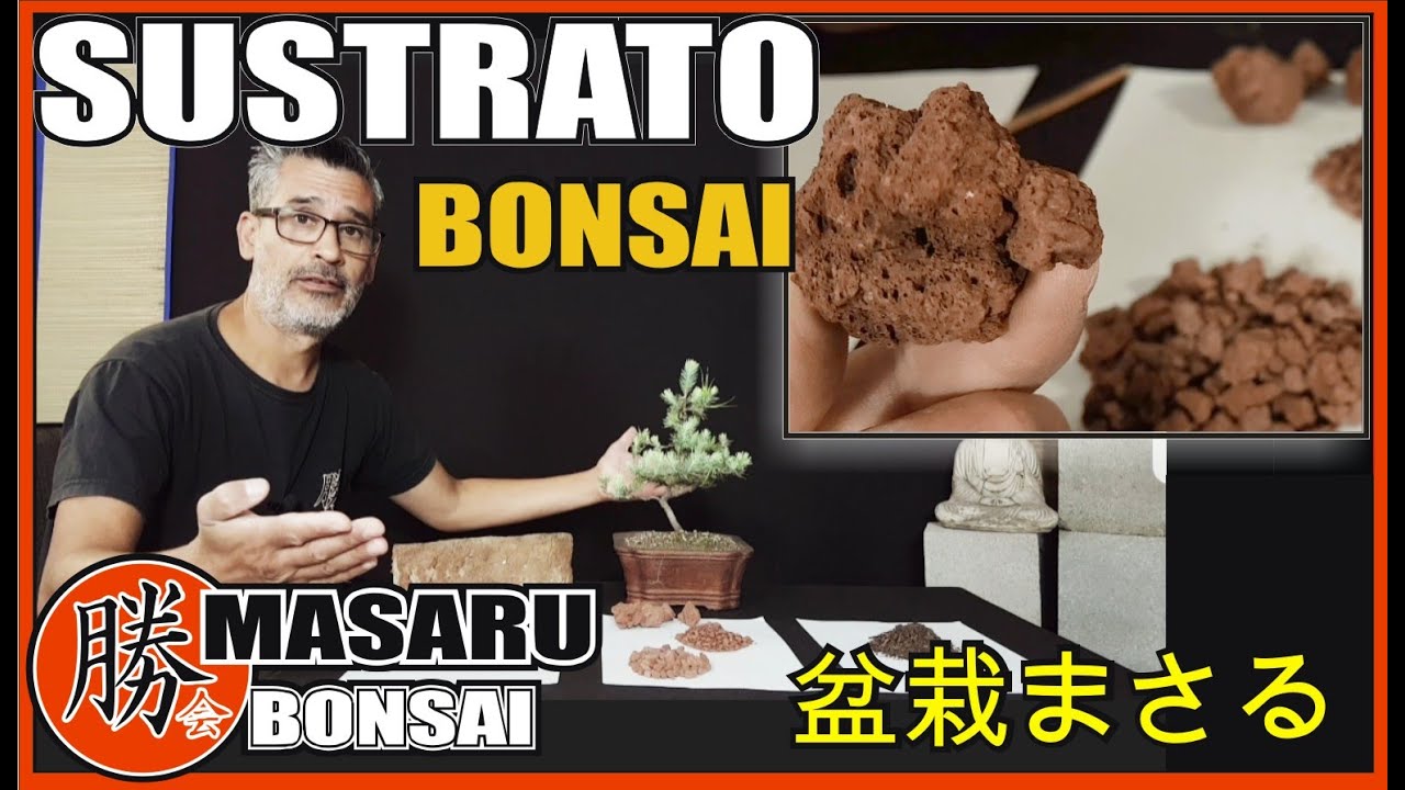 SUSTRATO PARA BONSAI SUPER FÁCIL - TODO LO QUE TENES QUE SABER Y MAS!!!!!