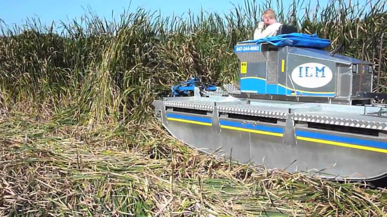 Truxor DM 5000 Cutting Cattail - Integrated Lakes Management