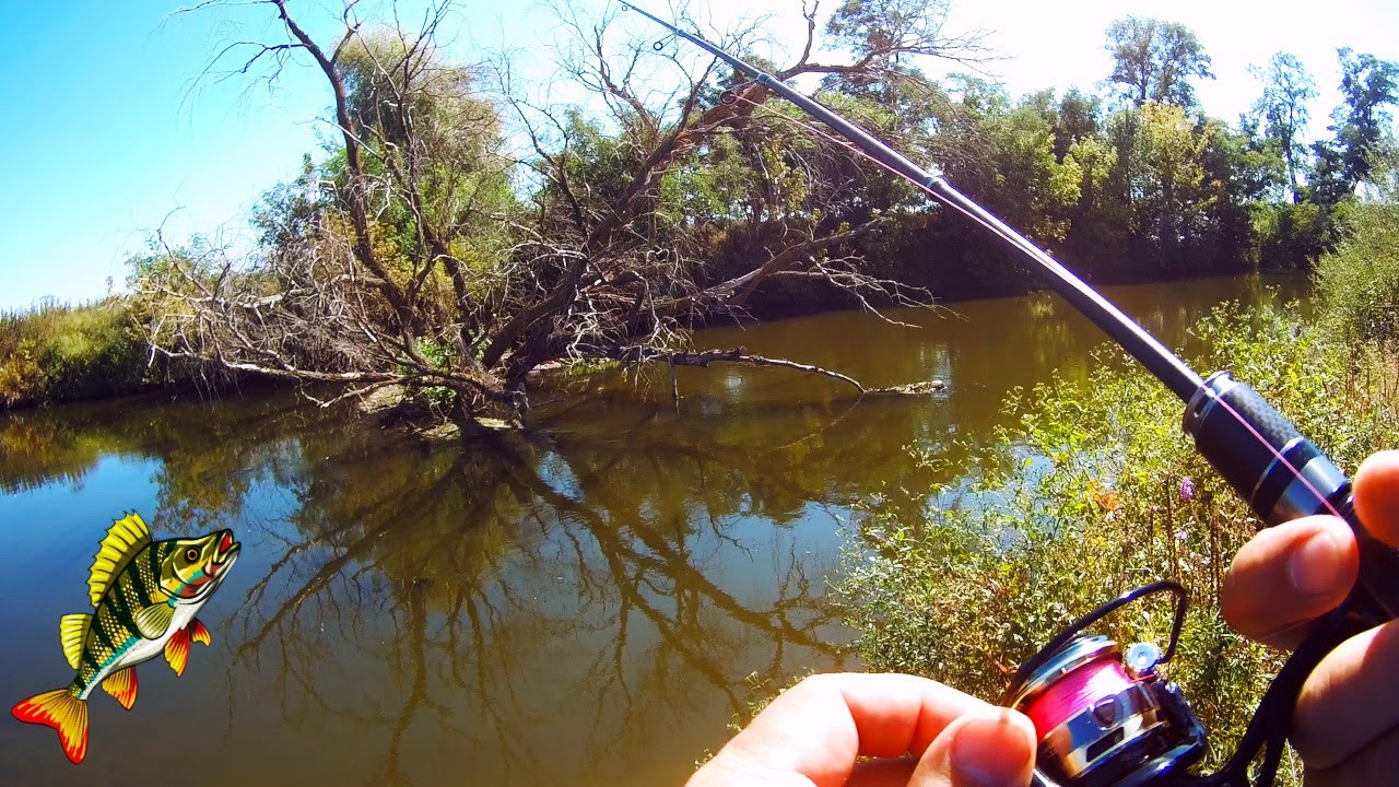 Walking Along the Shore with a Fishing Rod – Relaxing Fishing & Nature Vibes