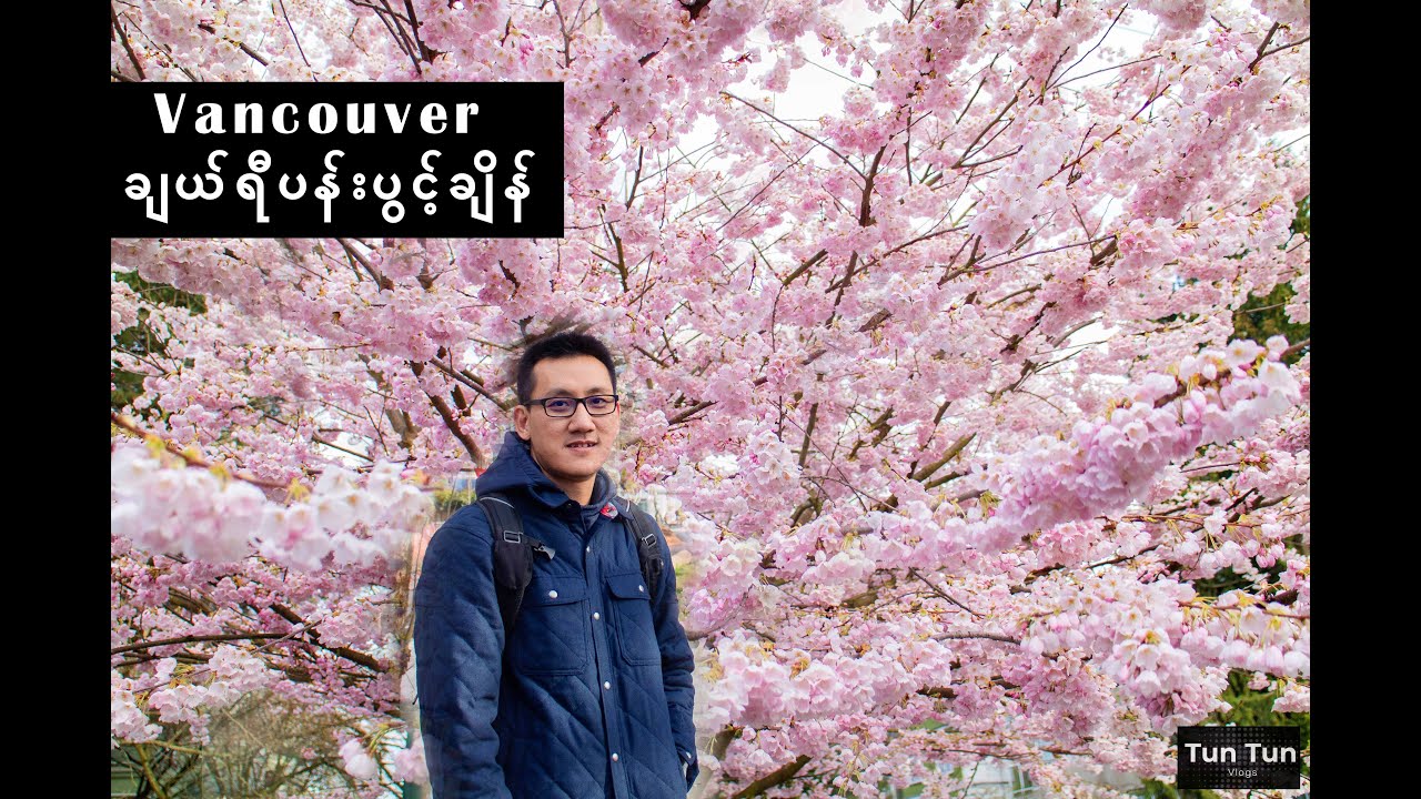 Vancouver Cherry Blossom 2022