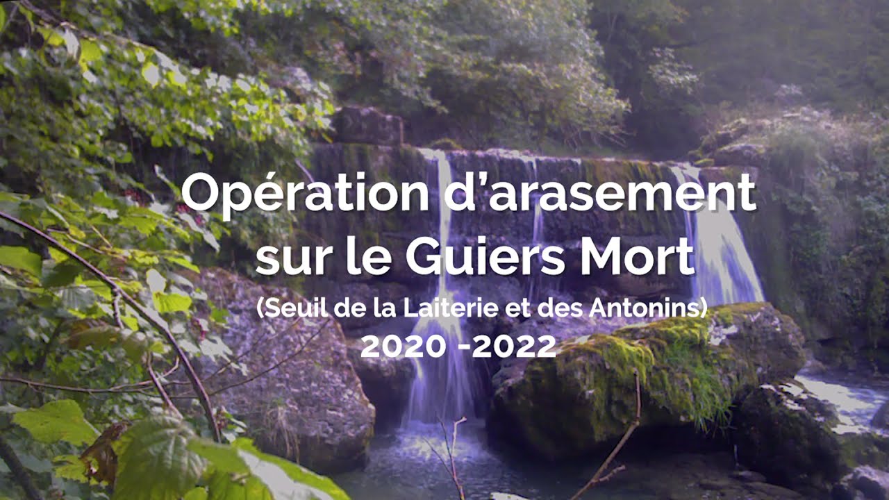 Travaux d'ARASEMENT sur le Guiers Mort en ISERE