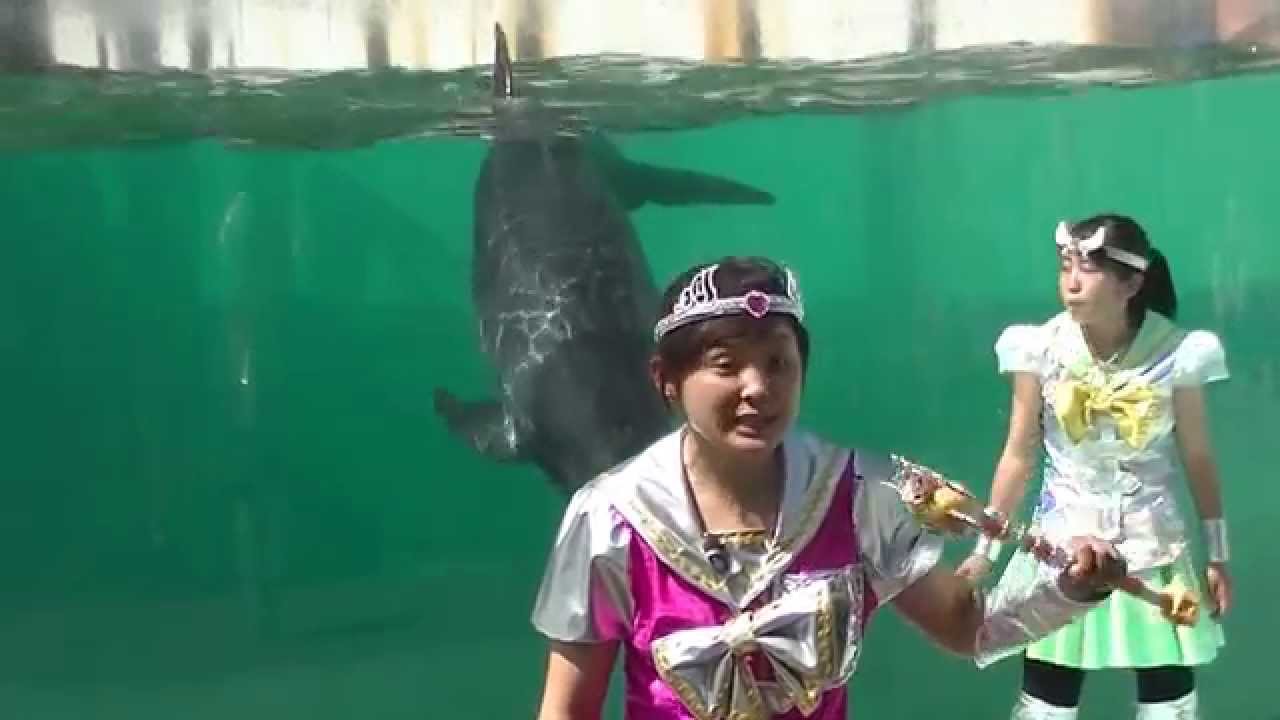 新屋島水族館劇イルカショー「美少女海洋戦士」