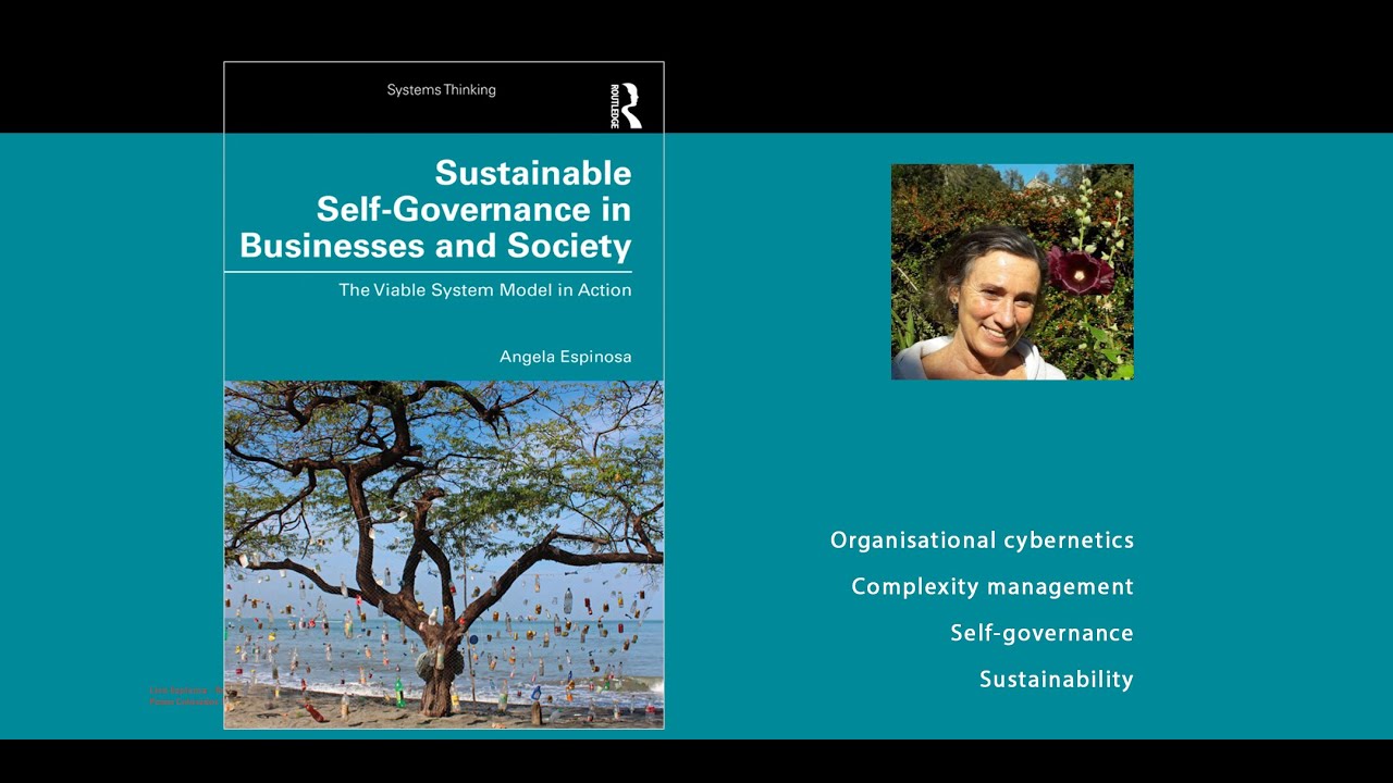 Speakers Series S3#9: Sustainable Self-governance in business and societies: the VSM in Action