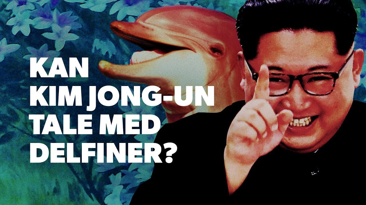 Kan Kim Jong-un tale med delfiner?