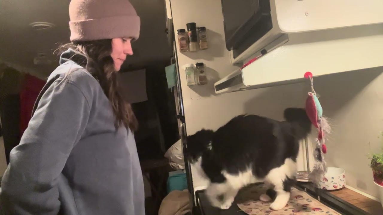 3.5 - What Can You Do? - Sarah and Sophie - 1.0