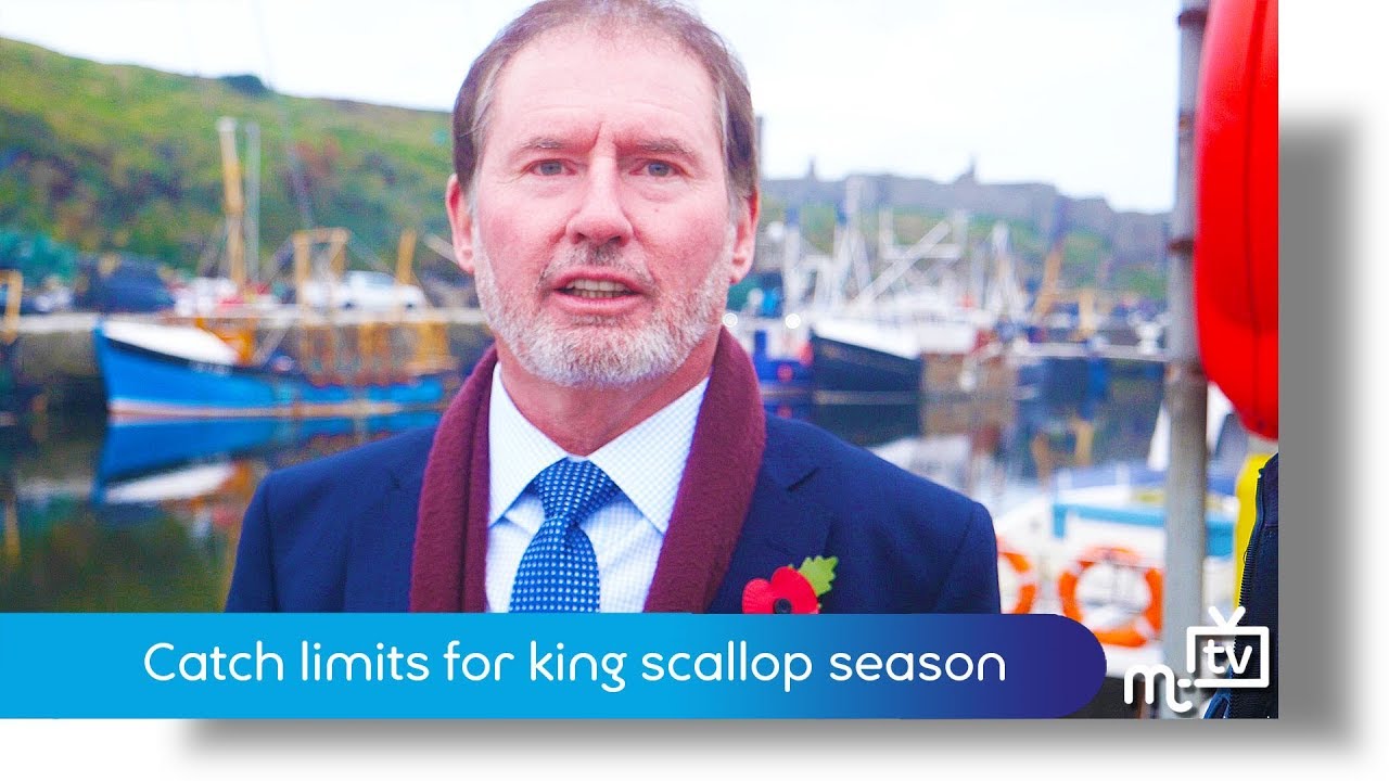Catch limits for king scallop season