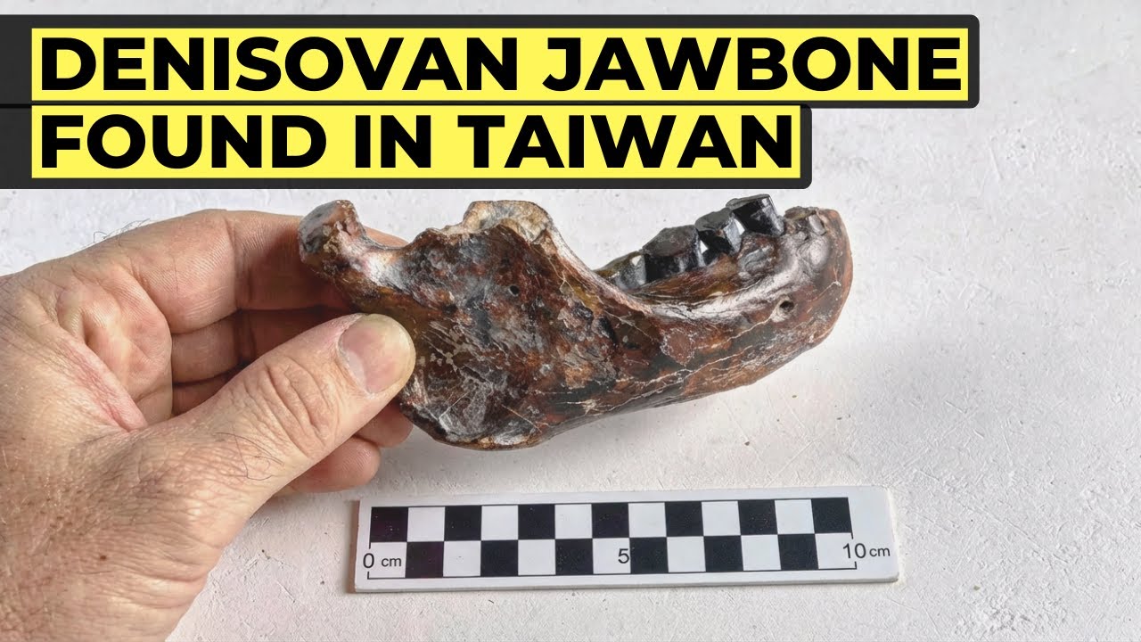 Denisovan Jawbone Found in Taiwan Changes Everything About This Ancient Human Species