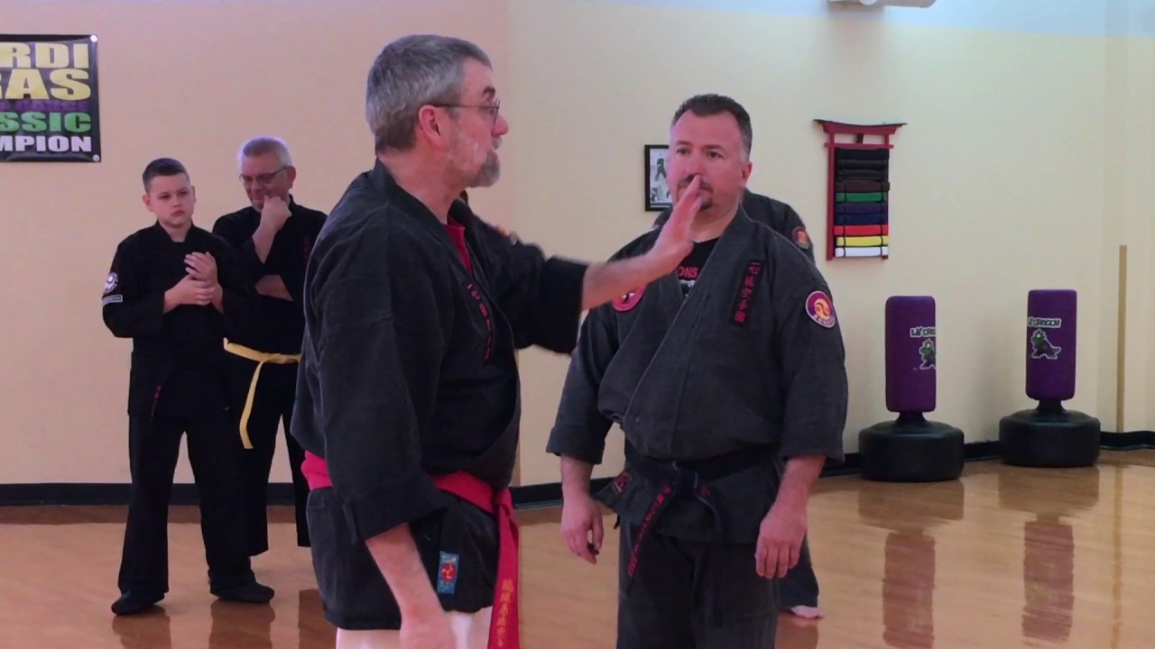 Seminar: Isshin ryu pt  1