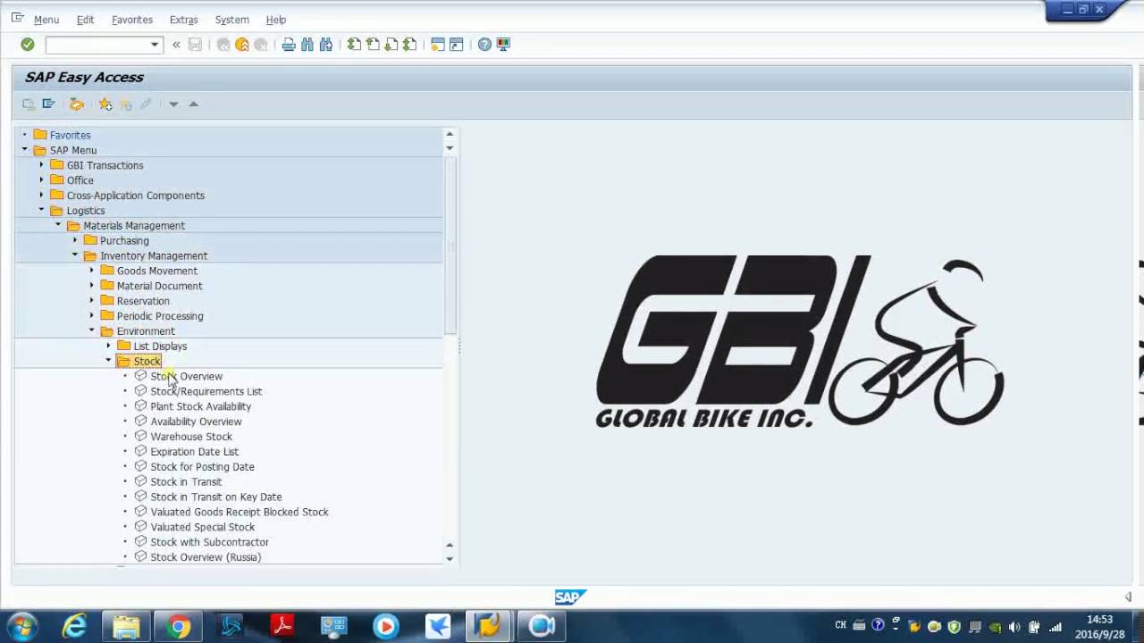GBI Case SAP Exercise SD2-6